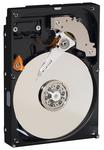 WD AV-25 - dysk do przechowywania multimediów
