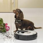 iRobot Roomba 564 PET - bezworkowy odkurzacz dla posiadaczy zwierząt
