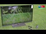 PHILIPS 55PFL6007K - nagradzany telewizor LED 3D
